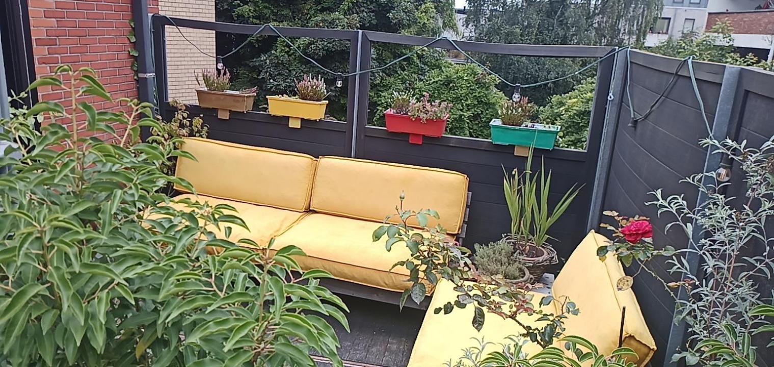Lodgerivierenhof Antwerpen Exteriör bild