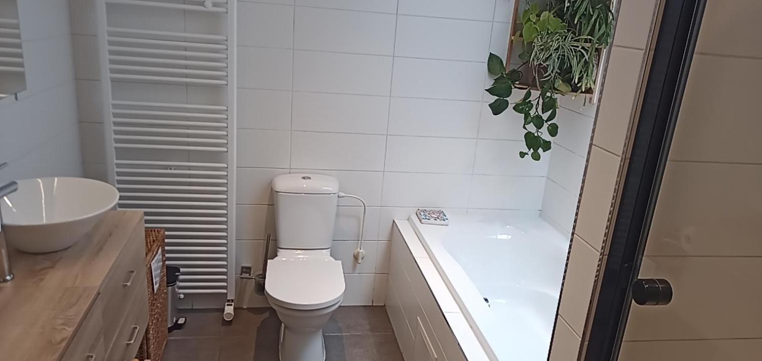 Lodgerivierenhof Antwerpen Exteriör bild